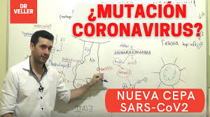 Последние твиты от covid19 venezuela (@covid19infovzla). Covid 19 Mutacion Variante Britanica Resumen Y Analisis Youtube