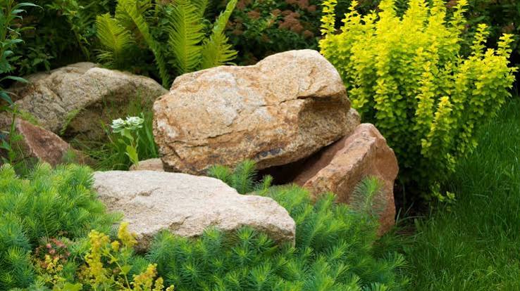 rock garden