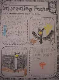 Rulin The Roost Owls Bats And Spiders Owl Writing Activities Owl Activities Owl Writing