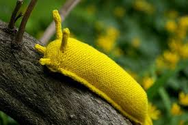 Banana Slugs Love To Climb Insect Crafts Slugs Banana