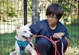 The size of the pet. Stop Pet Euthanasia In Japan Globalgiving