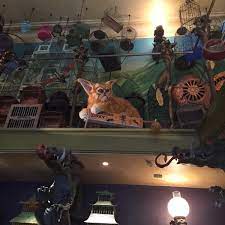 Harry potter and the chamber of secrets Eeylops Owl Emporium Fahrgeschaft Attraktion In Universal Studios