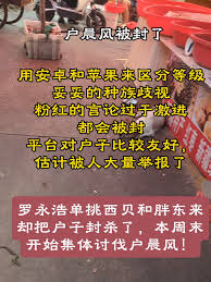 蘋果人安卓人什麽意思| TikTok