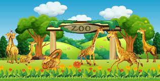 Une famille de girafes au zoo - Telecharger Vectoriel Gratuit ...