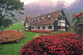 Packed with beautiful flowers, scenic views and surprising twists, cameron highlands pride itself in delivering an experience no other has ever done before. Asean Records Cameron Highlands Malaysia The Largest Tea Plantations In Southeast Asia Asean Records World