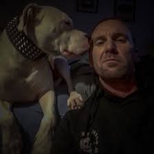 My Boys 💪🏻🥹 Ivar + Floki, 4 year old American bulldog X Rottweiler and 2  year old American bulldog X Boxer 💙