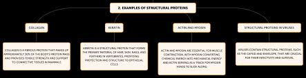 Cardiac Myosin Filaments Are Maintained By Stochastic Protein Replacement -  Sciencedirect
