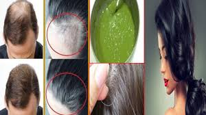 طريقة عمل شامبو طبيعي لإنبات الشعر وإزالة الشيب مستخلص من أوراق