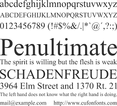 It includes all latin characters and numbers as well. Times New Roman Font Download Free For Desktop Webfont