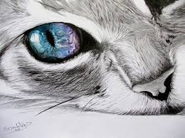 Allatok Archivum Oldal 101 162 Ingyenes Hd Hatterkepek 4k Animal Art Realistic Drawings Art Drawings