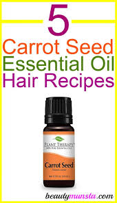 Others who use carrot oil say it helps to prevent hair loss by. 5 Carrot Seed Essential Oil Recipes For Hair Beautymunsta Free Natural Beauty Hacks And More