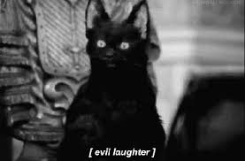 Evil Cat Gifs Get The Best Gif On Giphy The best memes from instagram, facebook, vine, and twitter about evil gif. evil cat gifs get the best gif on giphy
