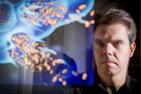 Vanity virus cures fund gap for medical research