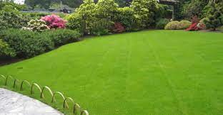 Maybe you would like to learn more about one of these? Lawn Care Milwaukee Wi Chop Chop Landscaping Milwaukee Wi