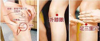 足三里穴位位置图 print tattoos paw print tattoo paw print