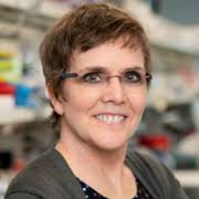 Explorer Series 1: The NGM Bio Discovery Engine Registration