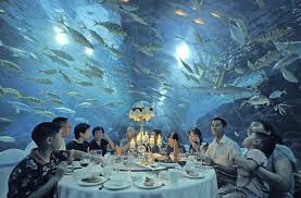 Restaurant Under Aquarium I Totally Wouldn T Be Able To Eat If There Were Sharks Though Just Saying Tianjin Travel Pictures Image Of The Day