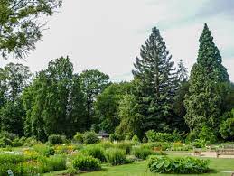 Doch was gibt es sehenswertes im botanischen garten? Der Botanische Garten Bonn Mediterrane Pflanzen Im Rheinland