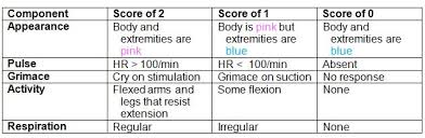 Apgar Score Table Free Medical Nursing Cheat Medical
