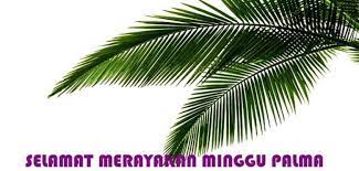 Jun 04, 2021 · jpu kpk telah menuntut suheri dengan pidana selama 4 tahun penjara dan denda rp150 juta subsider 6 bulan kurungan. Minggu Palma Akibat Corona Tidak Dirayakan Dengan Meriah Opini Indonesia Seword