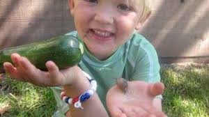 Team Special Saus digs carrots and parties it up making plum compote