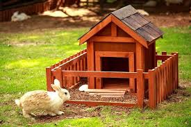 He (she) may start using the box or may pick another corner of the cage as a toilet. How To Litter Train A Rabbit In A Hutch A Detailed Guide