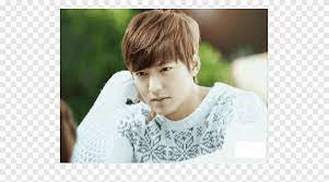 When kim tan loved, i lived for that smile. The Heirs Lee Min Ho South Korea Korean Drama Lee Min Ho Child Boy Png Pngegg