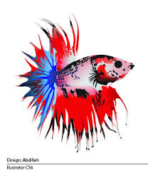 Ikan Cupang Design Abdillah Ikan Cupang Hewan Ikan