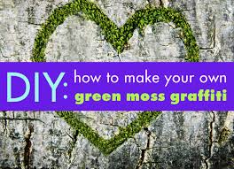 For example, you can make one using wood, pvc it is like a thin box that is layered with moss, and soil to make a platform for succulents to grow. Diy How To Make Your Own Green Moss Graffiti