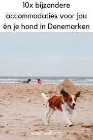 Pin Op Woef Welkom Eropuit Met Hond