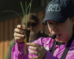 SCOE Spotlight- March 2024 by Solano County Office of Education