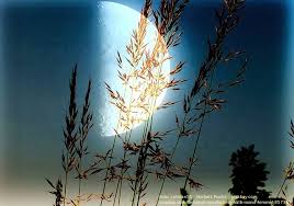 September 2018 mit mondphase und astrologischen tagesempfehlungen fr friseurtermine. Mondkalender Juli 2014 Astrologische Symbolaufstellung Ilka Plassmeier