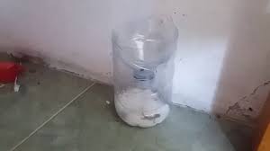 Suami akak gelak je dan macam tak heran langsung keletah akak yang tengah panic tu. Perangkap Cicak Paling Mudah By Denaihati