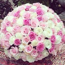 Pin On Flowers