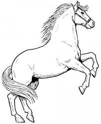 Horses Coloring Page Wallpaper Horse Coloring Horse Coloring Pages Horse Coloring Male Horse