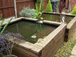 Maybe you would like to learn more about one of these? Pin By Aimee Collett Pearson On Ponds Ponds Backyard Aquaponics Aquaponics Design