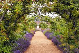 There are a slew of different herbs, bushes, and flowers you can put in. 8 Plants And Flowers That Repel Bees Wasps Naturally