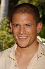Es Wentworth Miller Gay Quien Es Su Pareja Y Su Edad Datosdefamosos