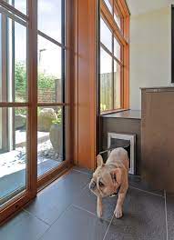 8 Types Of Pet Doors How To Choose The Best One For Your Home
