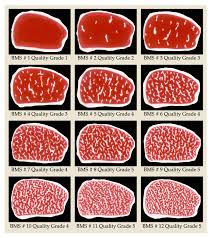 steak guide i best types of steak characteristics cuts