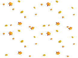 15284362 Gif 700 525