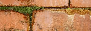 What Is Damp What Causes Damp Problems In Houses