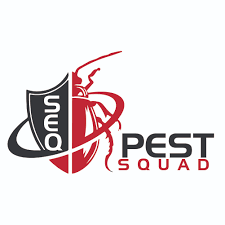 Cockroaches are not only disgusting to see when stumbling upon them at night, they are also known to carry and spread bacteria like streptococcus and staphylococcus, and contaminate food with salmonella. Gold Coast Pest Control Seq Pest Squad