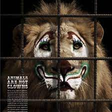 No al CIRCO con ANIMALI