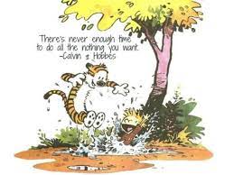 Calvin And Hobbes Life Lessons 20 Photos Calvin And Hobbes Quotes Calvin And Hobbes Wallpaper Calvin And Hobbes Comics