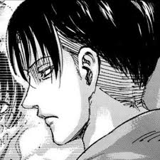 Mikasa's partially asian because of her mother, who was part of the azumabito family, the family that's known as the asian clan inside the walls.on her father's side she belongs to the ackerman family, just like levi on his mother's side. Levi Ackerman Aesthetic Pfp Manga Kellarintotuuksia