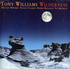 Tony Williams* - Wilderness (1996, CD) | Discogs