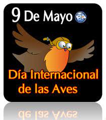 En españa se publica la primera parte de el ingenioso hidalgo don quijote. 9 De Mayo Dia Mundial De Las Aves Efemerides Argentinas Facebook