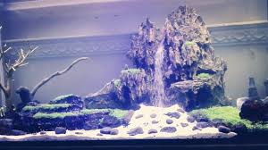 Waterfall Aquarium Air Terjun Dlm Aquarium Youtube Fish Tank Themes Aquascape Aquarium