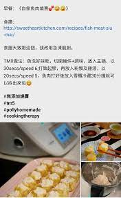 thermomix fish meat siu mai 燒賣皮 細 4両急凍鯰魚柳2條幼鹽1茶匙胡椒粉 茶匙木薯粉4湯匙生粉1湯匙雞湯4湯匙 約40毫升 任何生油 塗碟用 少許急凍魚柳解凍前約470克 解凍及印乾 水份後約300克 可 thermomix recipes recipes fish and meat